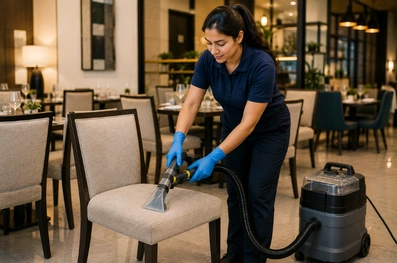 Dining Chair Cleaning