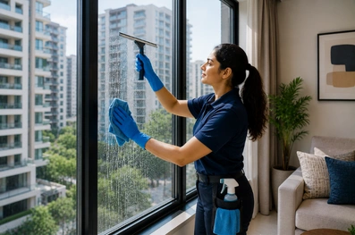 Apartment Window Cleaning